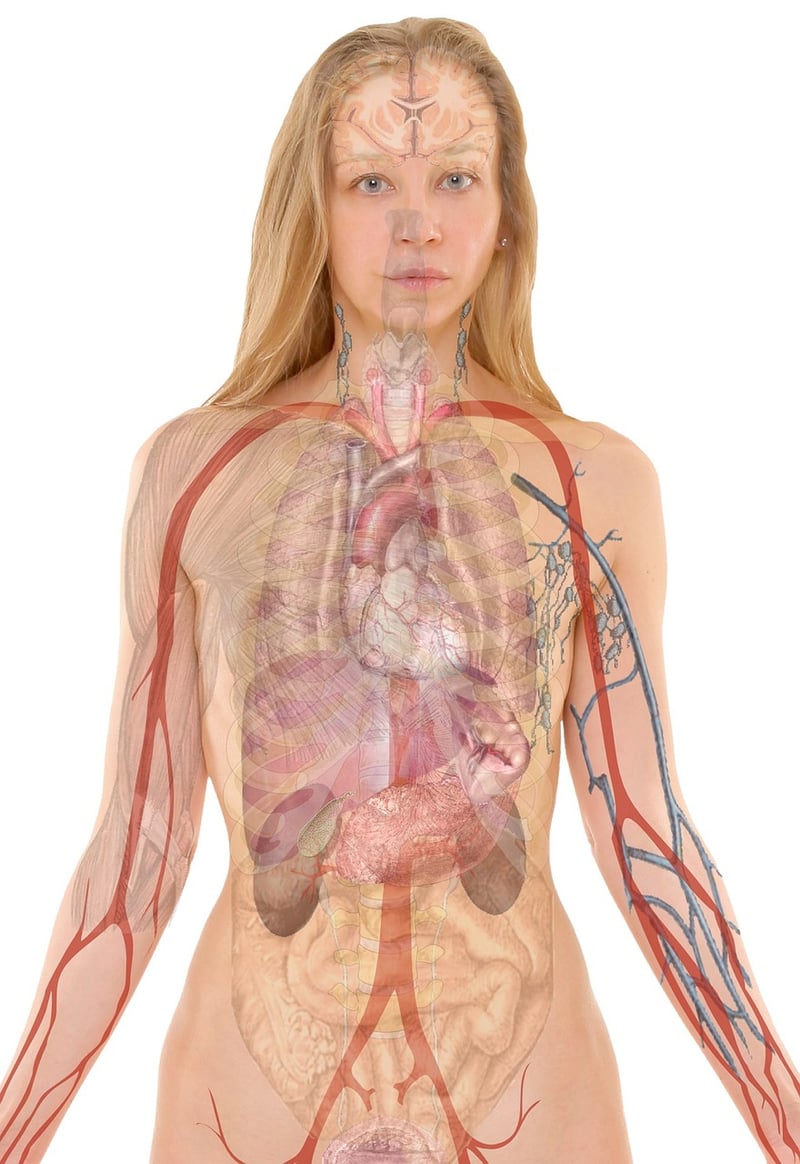 Body Awareness Practices